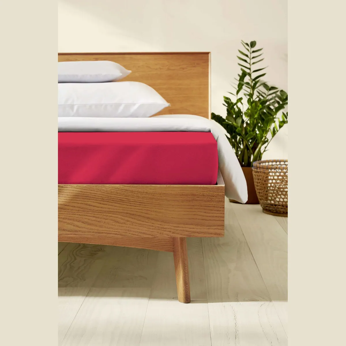 Kaeppel Spannbettlaken Single Jersey Mako Cotton, 100% Baumwolle, rundum Gummizug 2